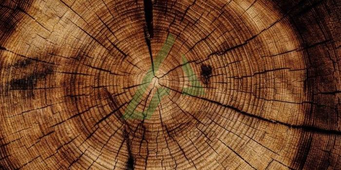 ویژگی های چوب اقاقیا ویژگی های چوب اقاقیا