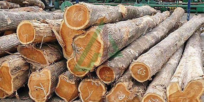 ویژگی های چوب ساج ویژگی های چوب ساج