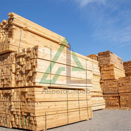چوب روس را بیشتر بشناسید